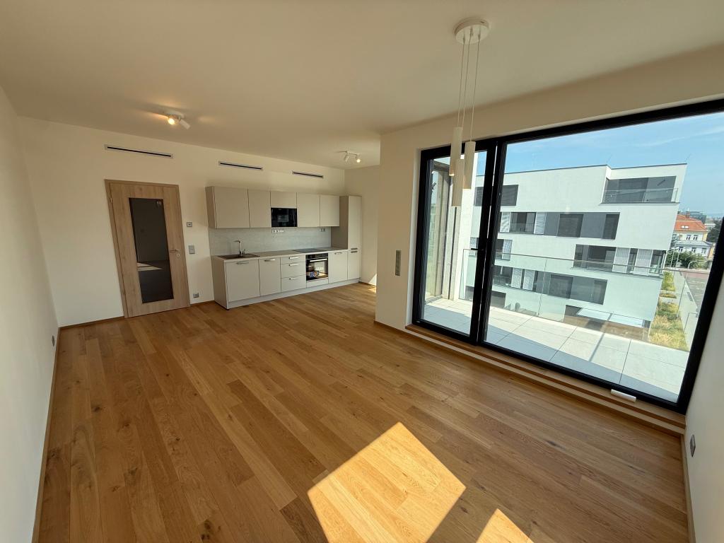 Pronájem bytu 1+kk 45 m2
