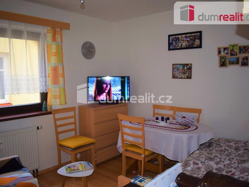 Pronájem bytu 1+kk 20 m2