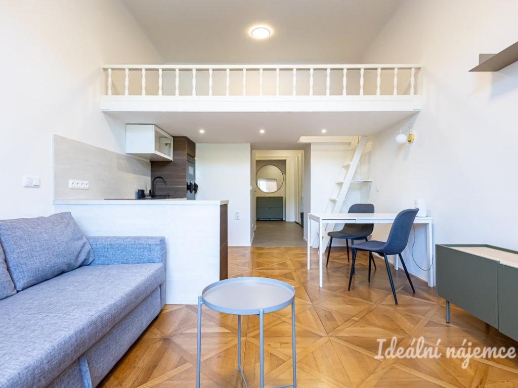 Pronájem bytu 1+kk 48 m2