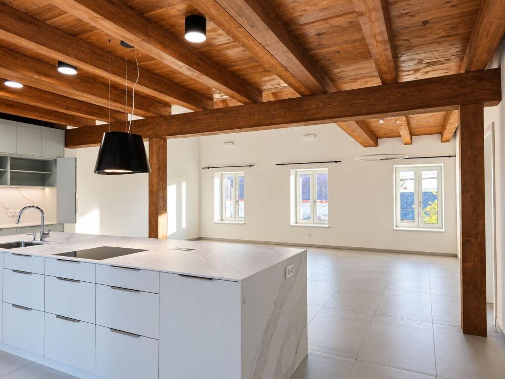 Pronájem bytu 4+kk 196 m2