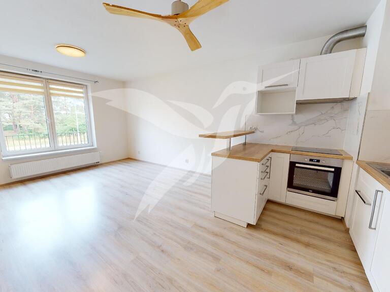 1-room apartment for rent · 32 m² · Plzeň — 532 €/mo