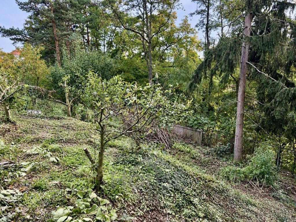 Prodej domu 135 m2, Praha – náhled fotky 30