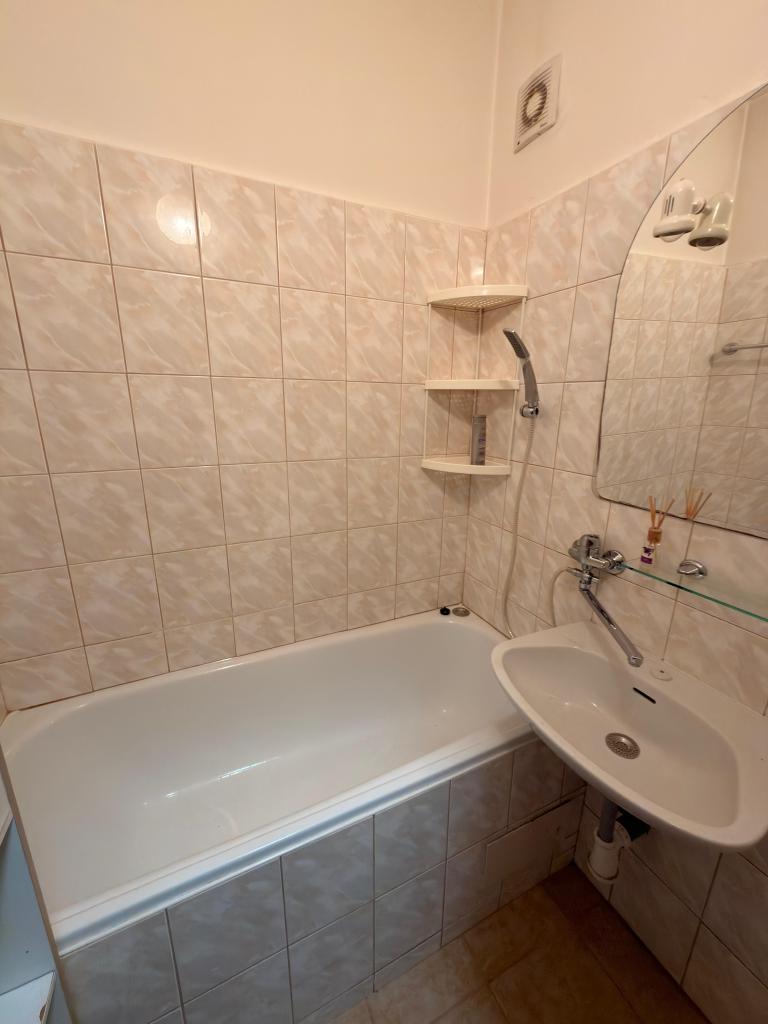 Pronájem bytu 2+1 53 m2