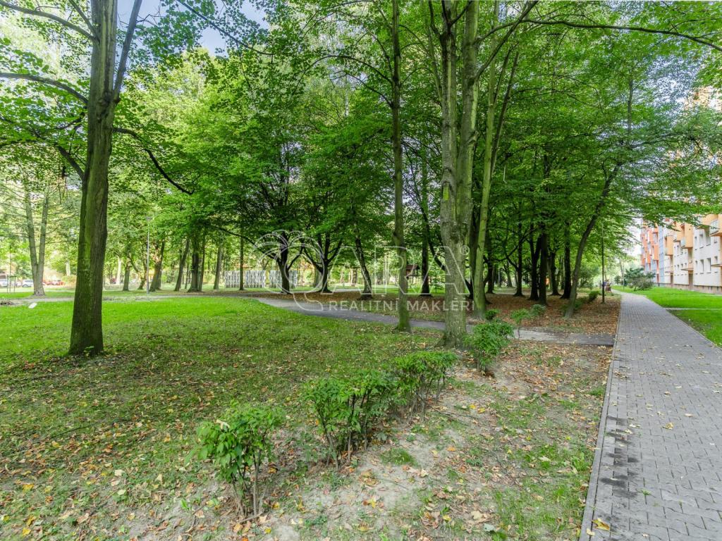 Prodej bytu 3+1 63 m2, Ostrava – náhled fotky 22