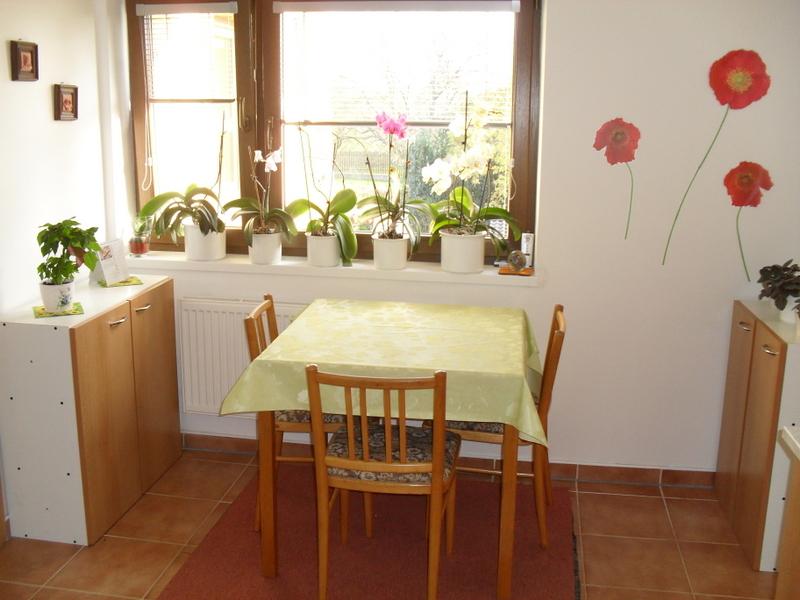 Pronajem bytu 2+1 62 m2