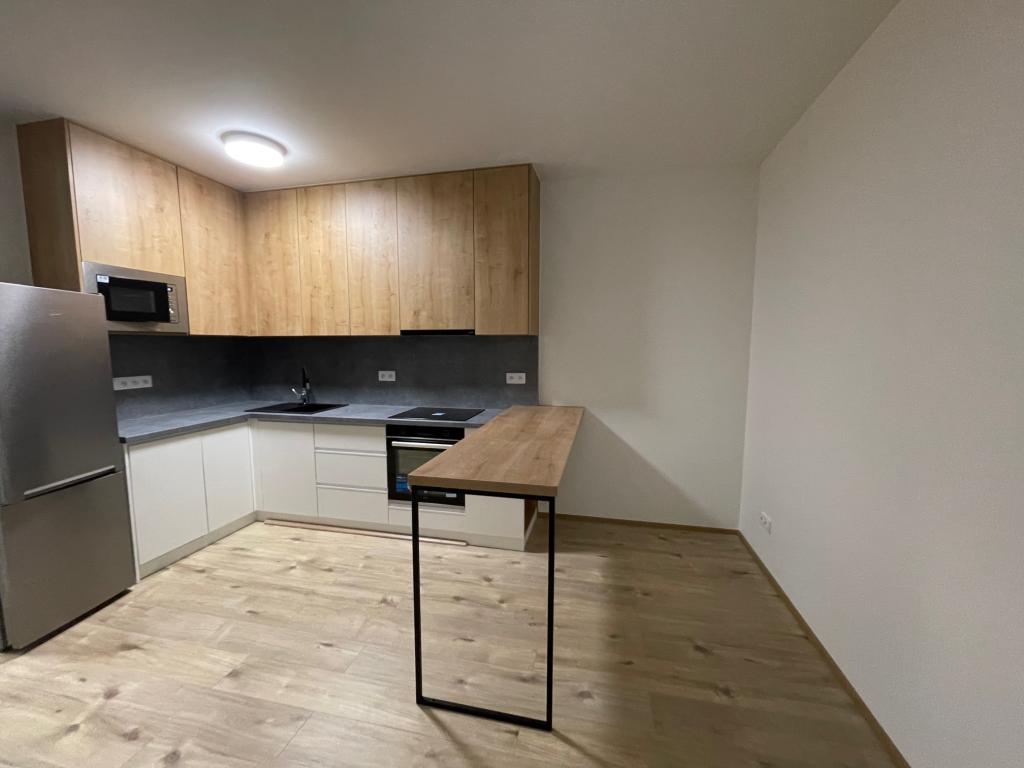 Pronájem bytu 1+kk 40 m2