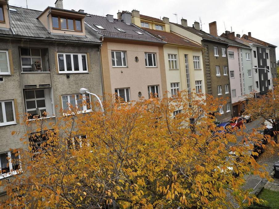 Pronajem bytu 2+1 72 m2