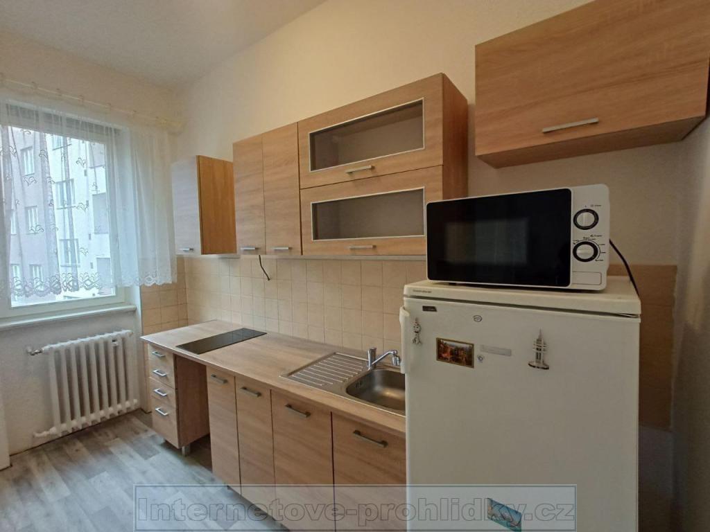 Pronájem bytu pokoj 28 m² - Ansicht 3