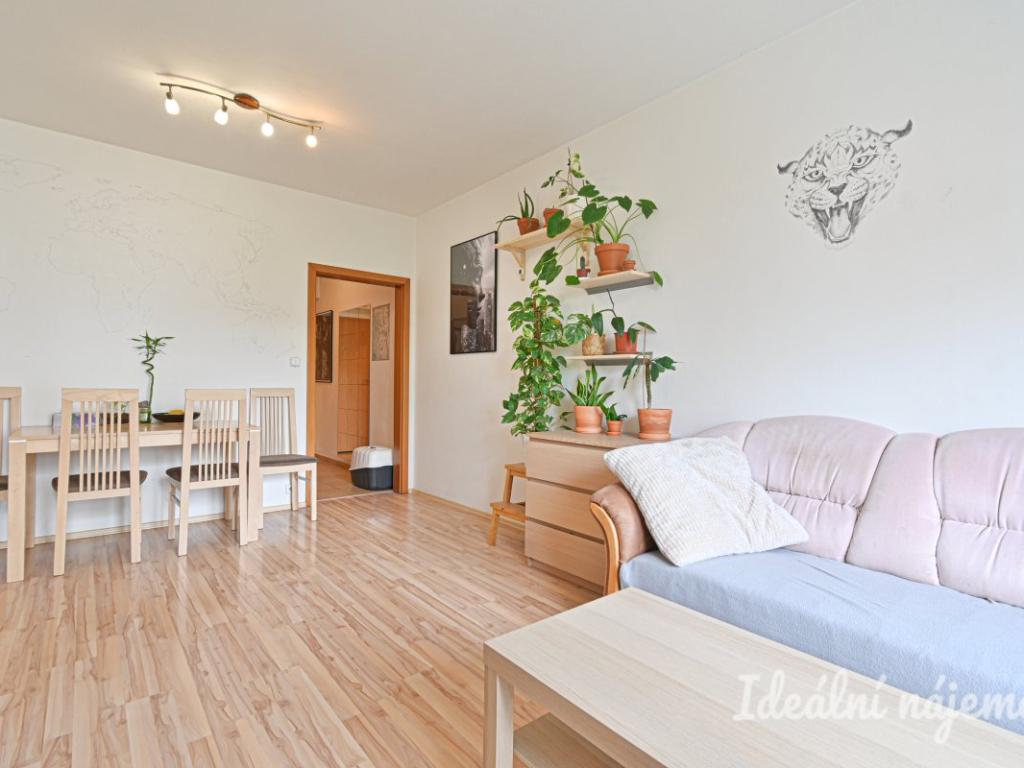 Pronájem bytu 2+kk 58 m2