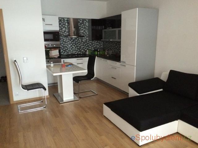 Spolubydleni bytu 1 lůžko 55 m2