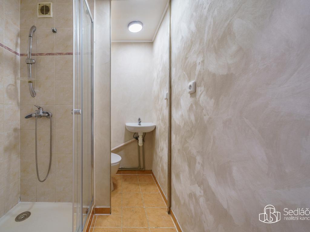 Pronájem bytu 1+1 38 m2