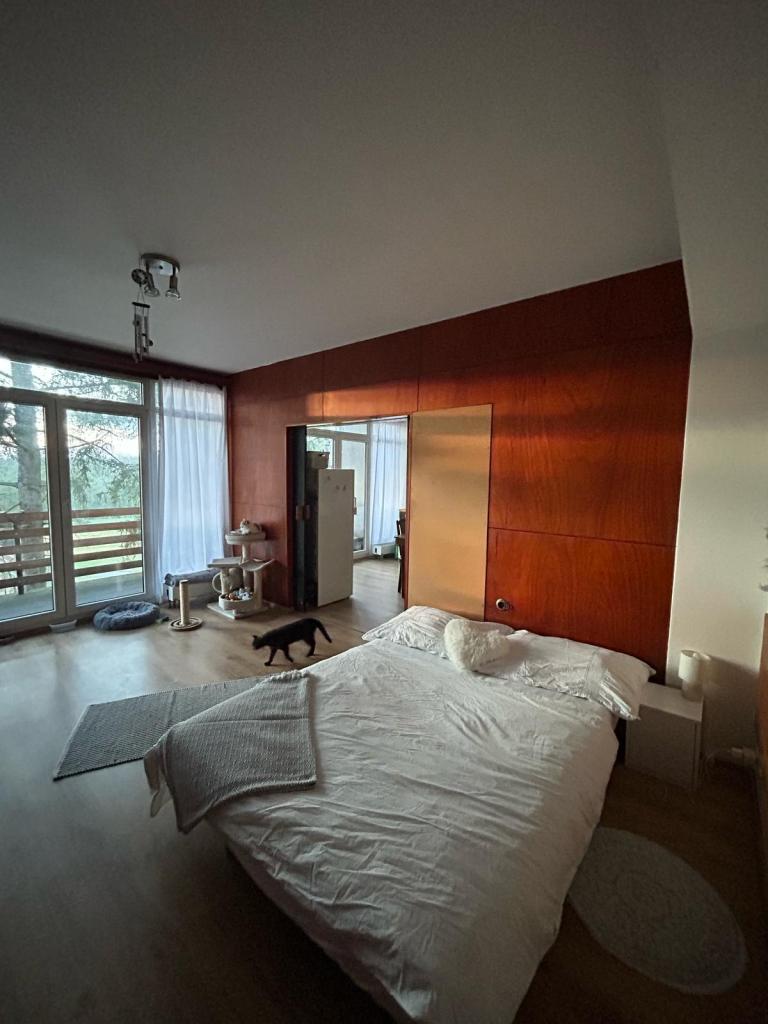 Pronájem bytu 2+kk 52 m2