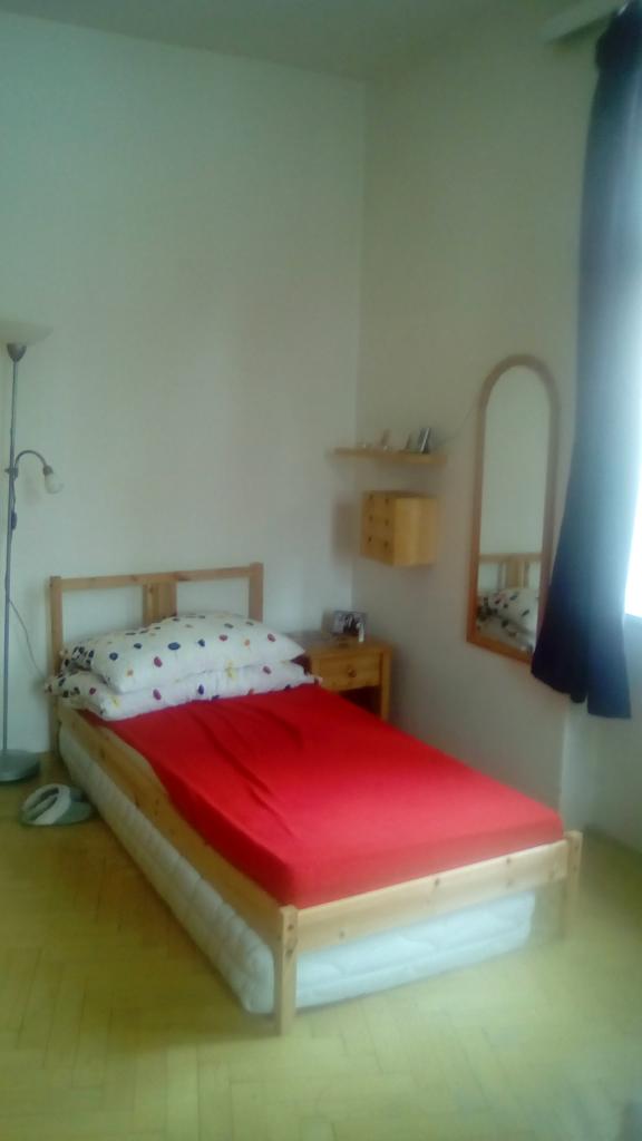 Spolubydleni bytu celý pokoj 110 m2