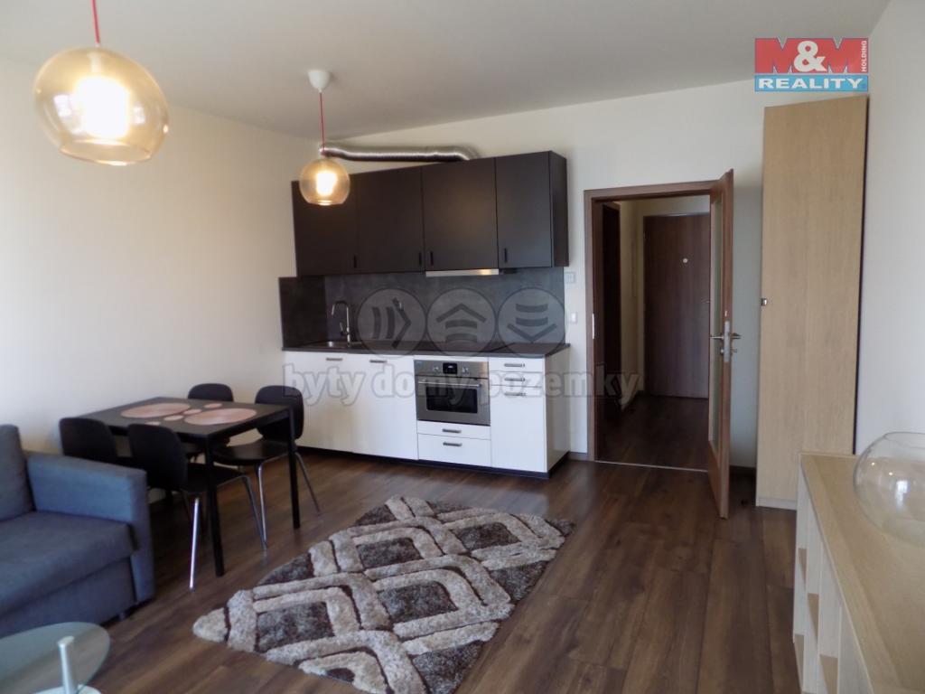 Pronajem bytu 1+kk 42 m2