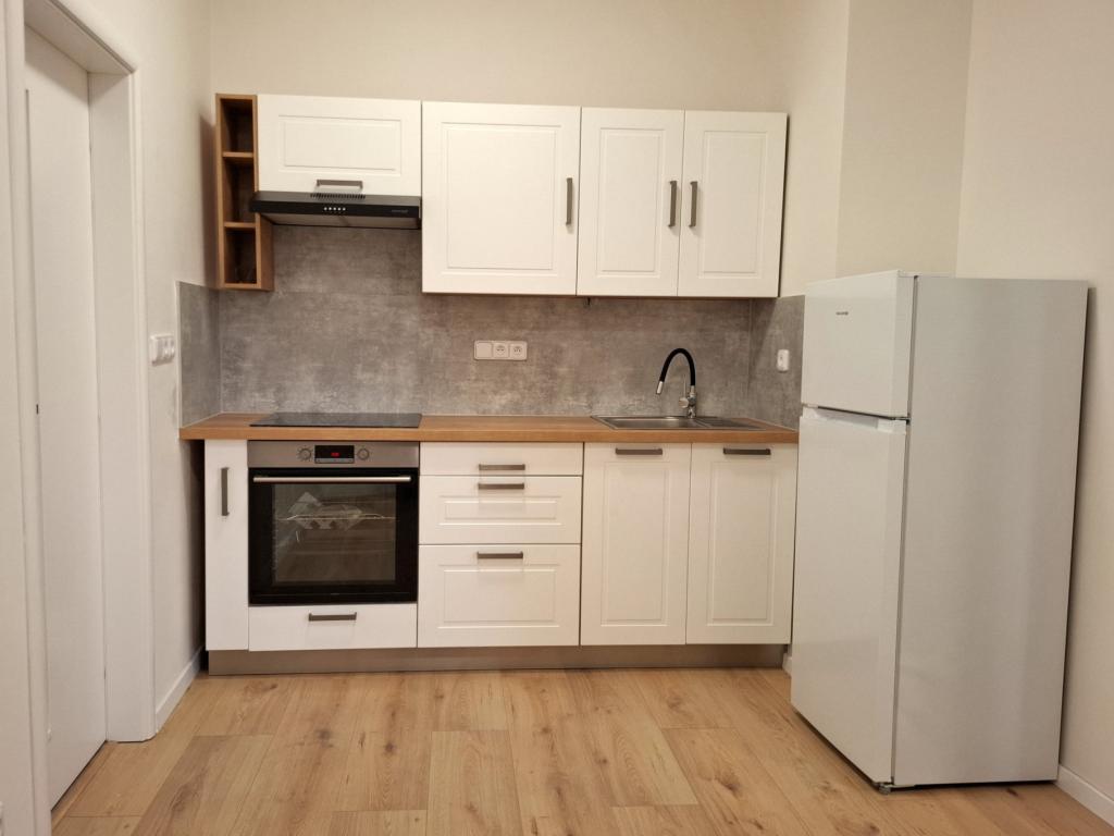 Pronájem bytu 1+1 47 m2