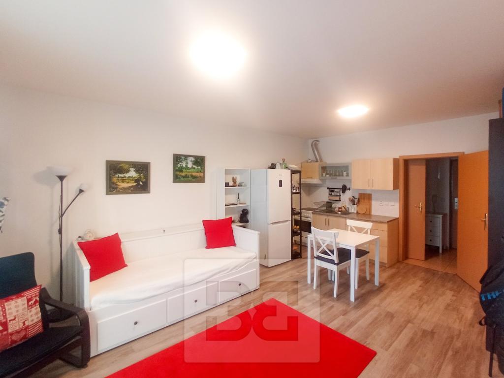 Pronájem bytu 1+kk 37 m2