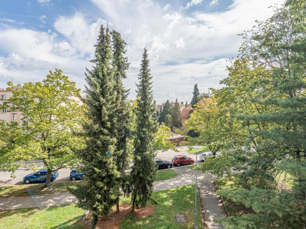 Pronájem bytu 3+kk 52 m2, Plzeň – náhled fotky 6