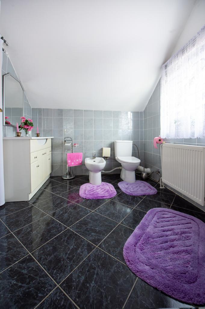 Prodej domu 160 m2, Braňany – náhled fotky 14