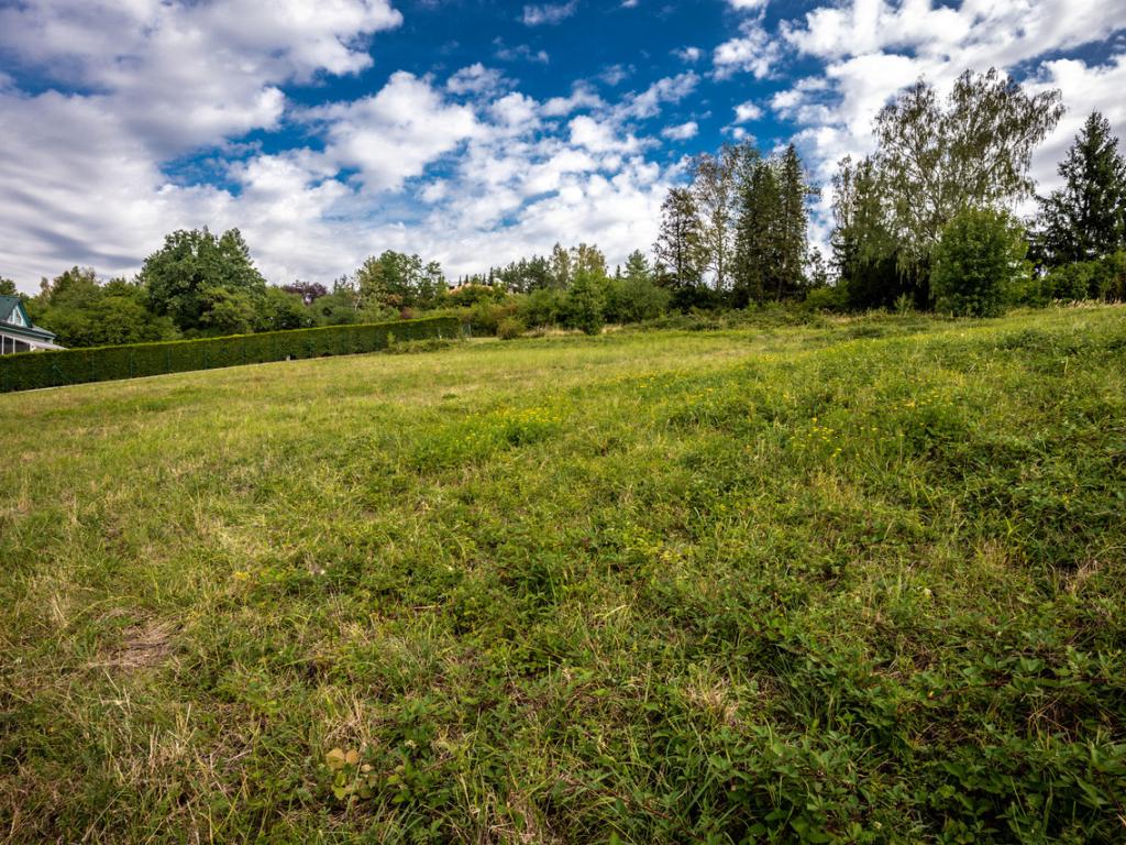 Prodej pozemku 5439 m2, Pozlovice – náhled fotky 23