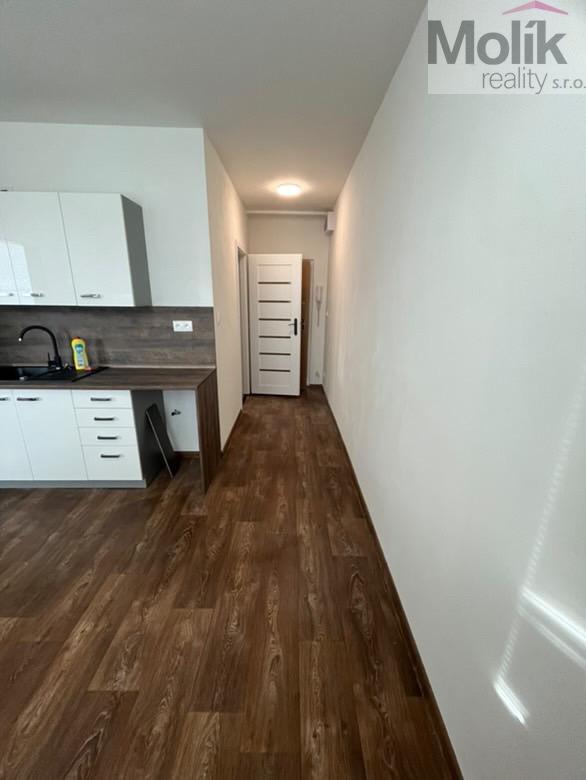 Pronájem bytu 1+1 39 m2