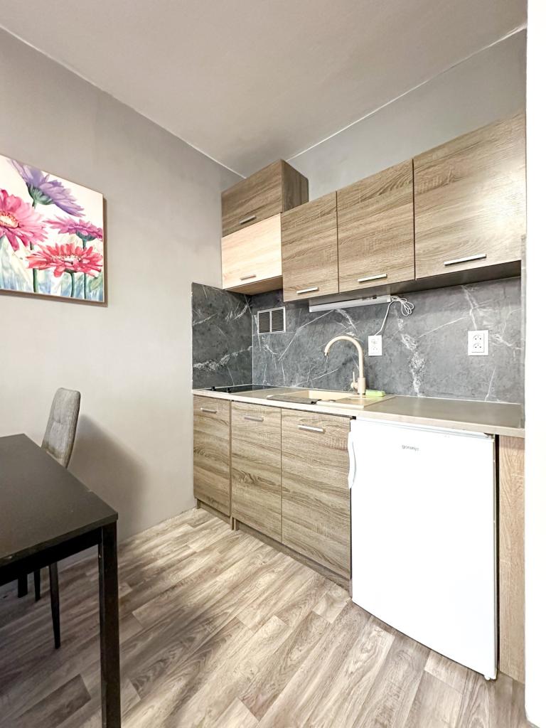 Pronájem bytu 1+kk 25 m2