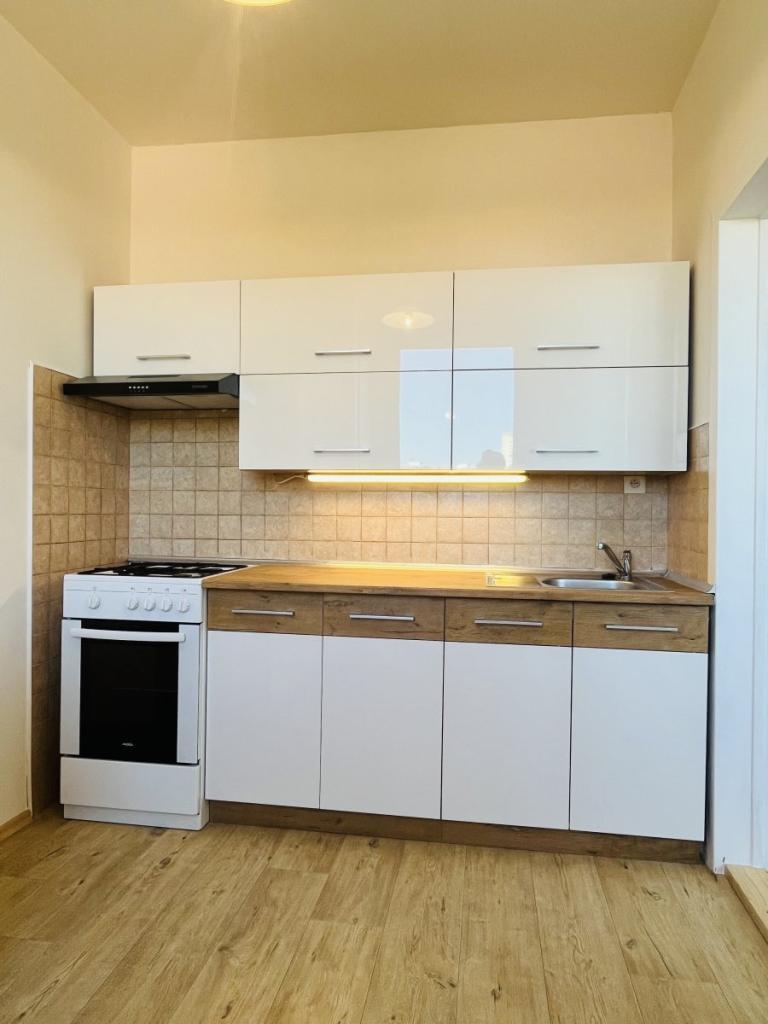Pronájem bytu 1+1 33 m2