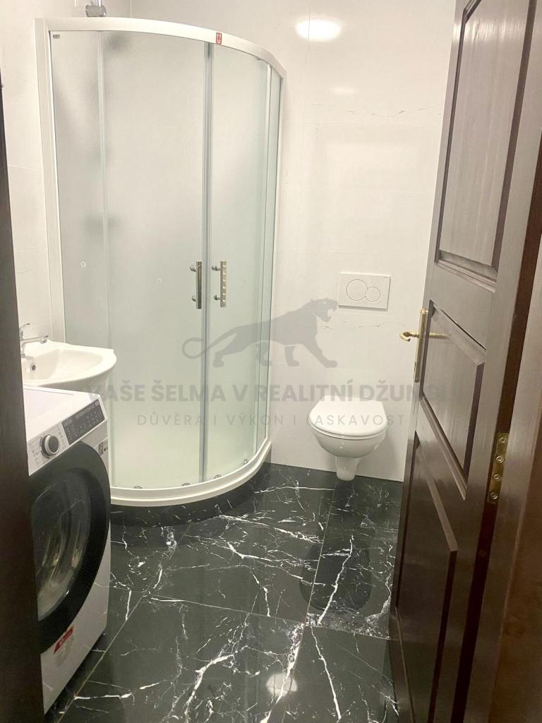 Pronájem bytu 1+kk 20 m2