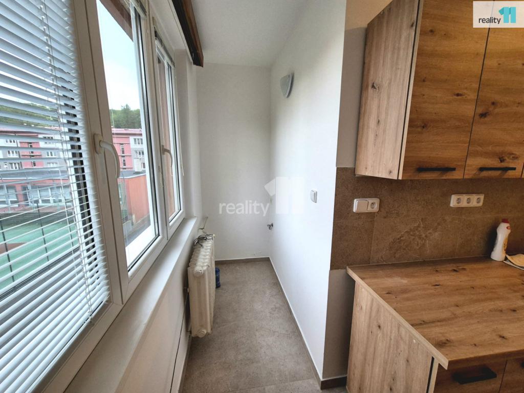 Pronájem bytu 2+1 55 m2