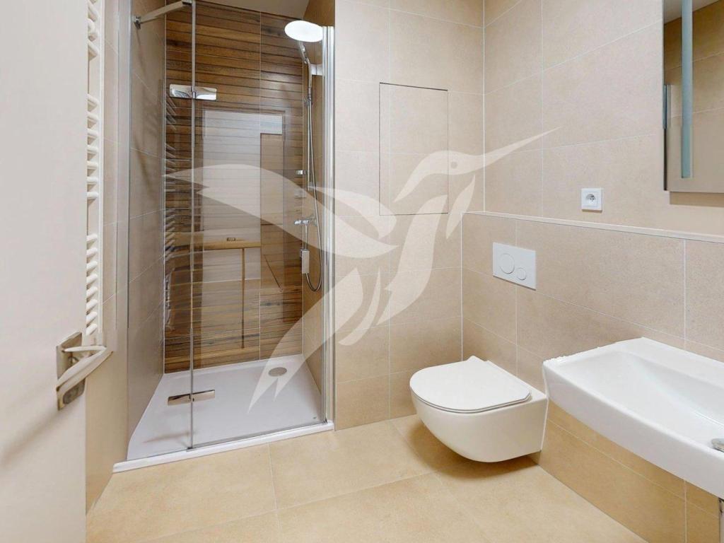 Pronájem bytu 1+kk 30 m2, Plzeň – náhled fotky 3