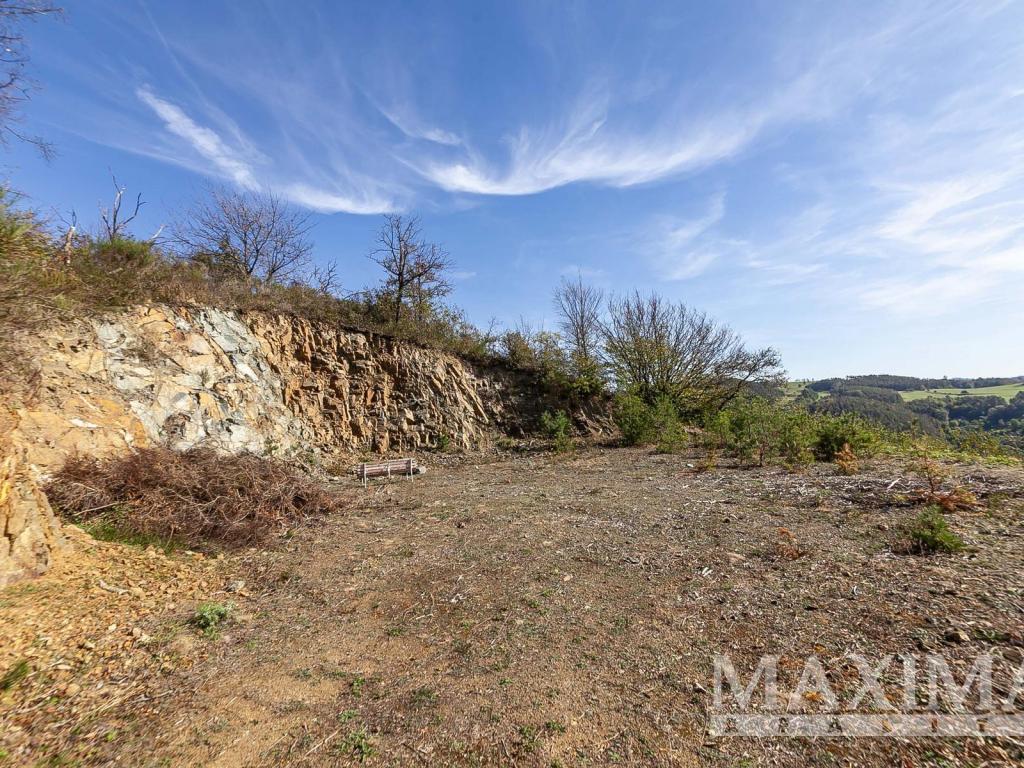 Prodej pozemku 7462 m2, Solenice – náhled fotky 5