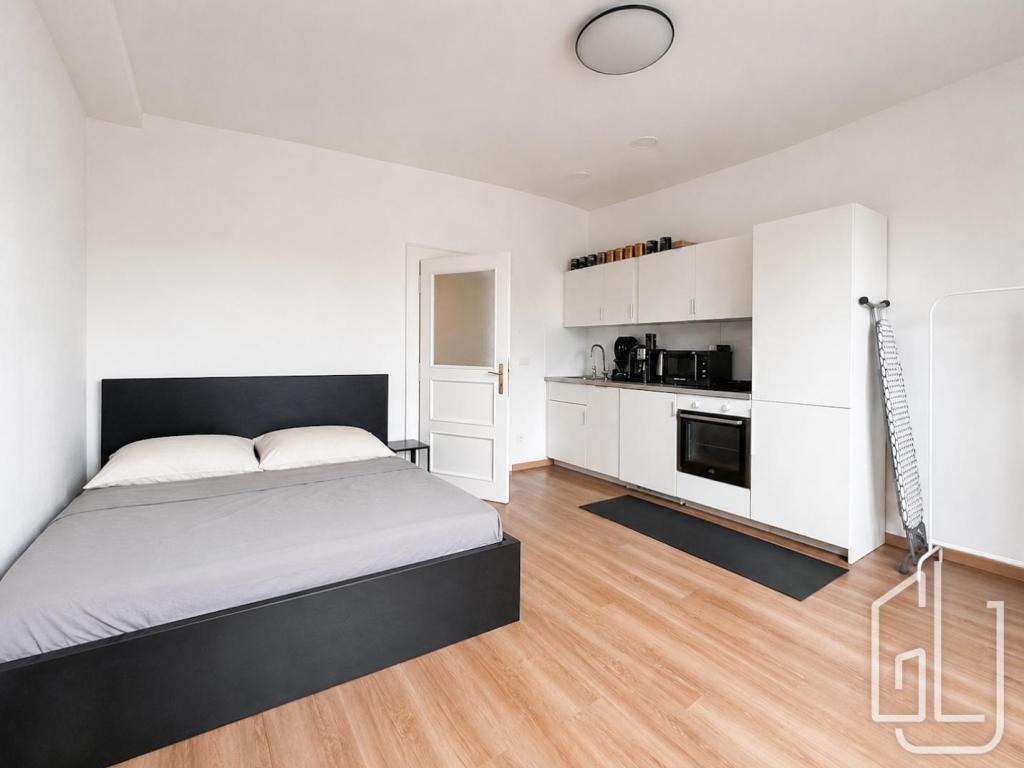 Pronájem bytu 1+kk 30 m2