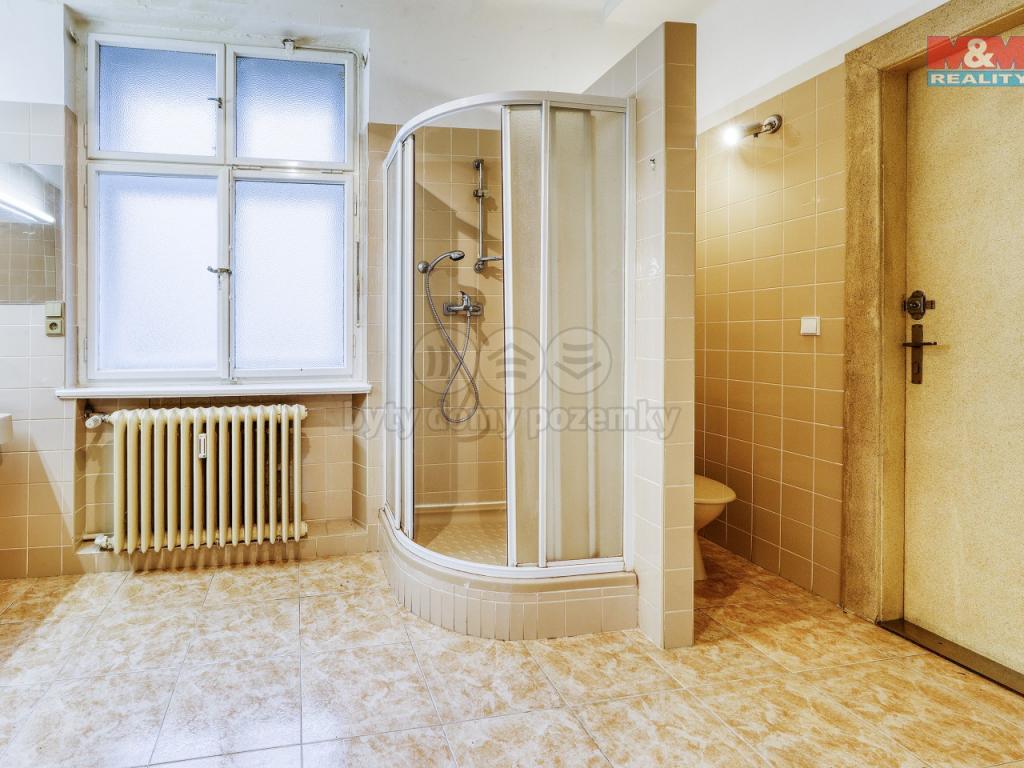 Pronajem bytu 3+1 121 m2
