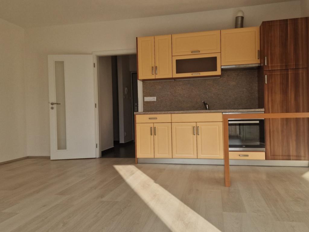 1+kk Apartment in Plzeň, Světovar - View 3
