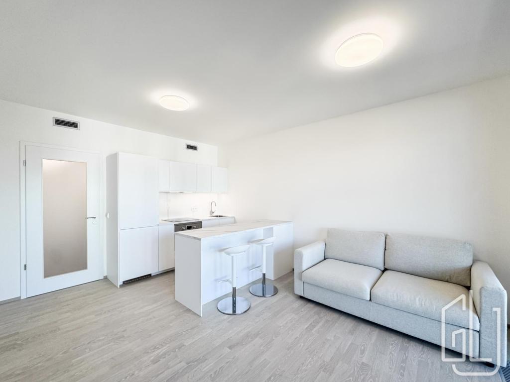 Pronájem bytu 1+kk 35 m2