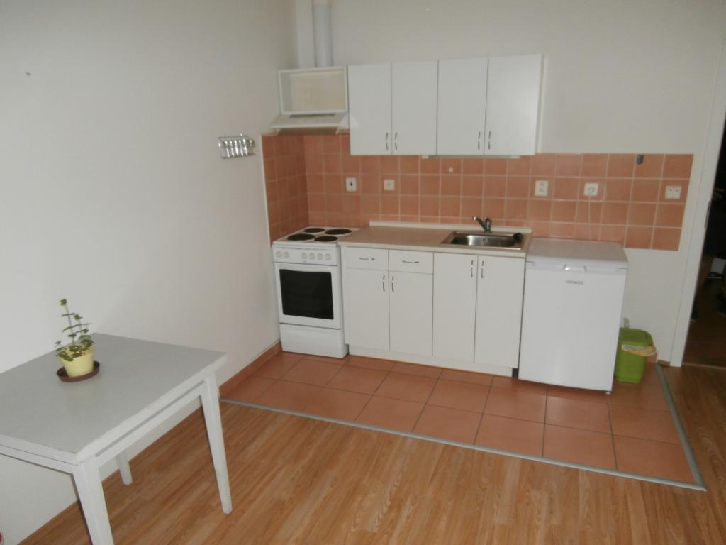 Pronajem bytu 1+kk 35 m2
