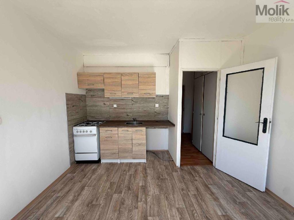 Pronájem bytu 1+1 35 m2