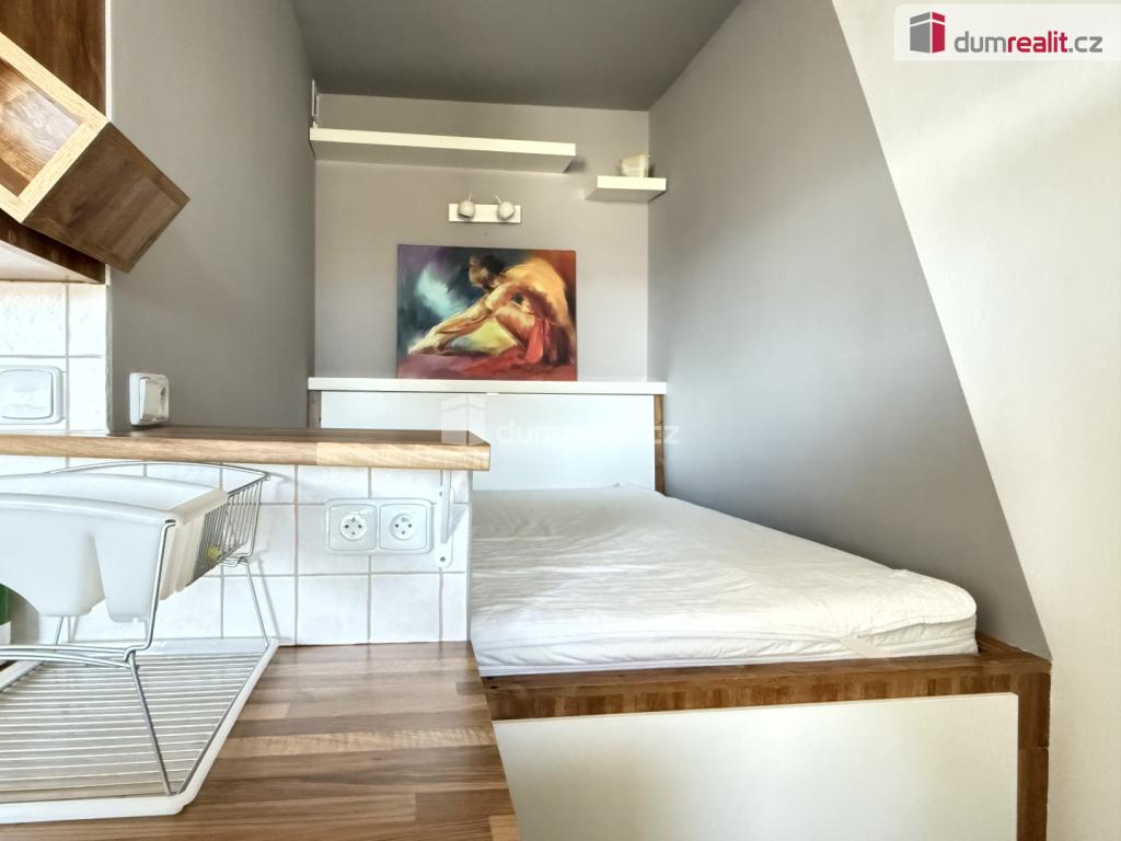 Pronájem bytu 1+kk 31 m2