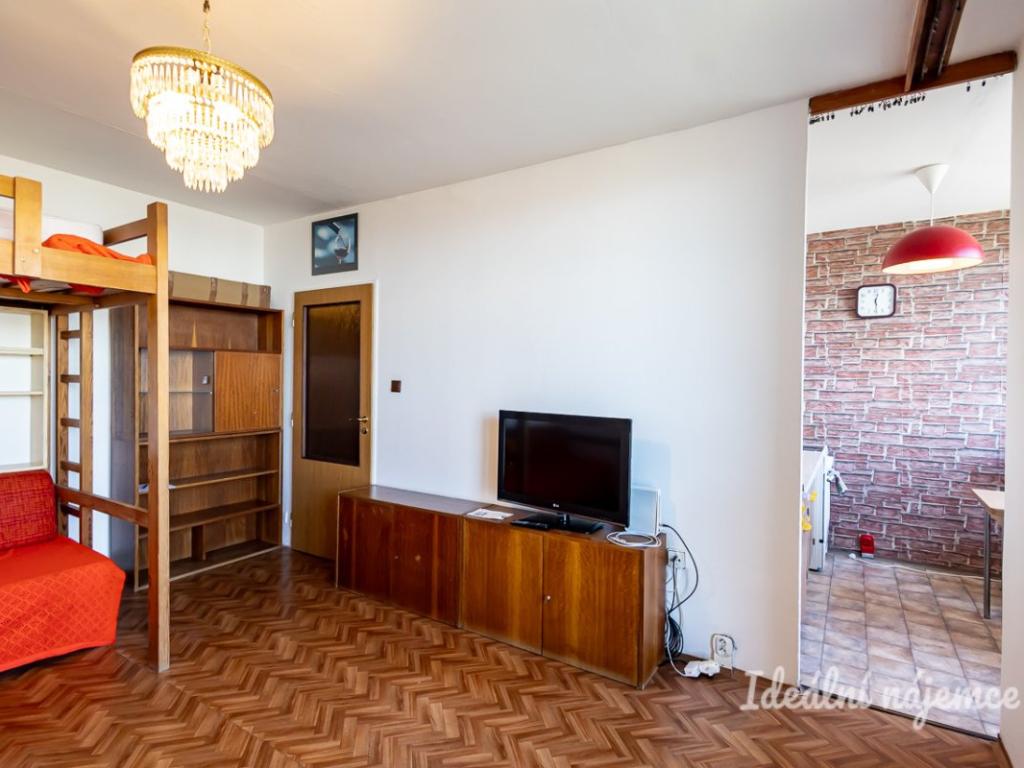 Pronájem bytu 1+1 30 m2