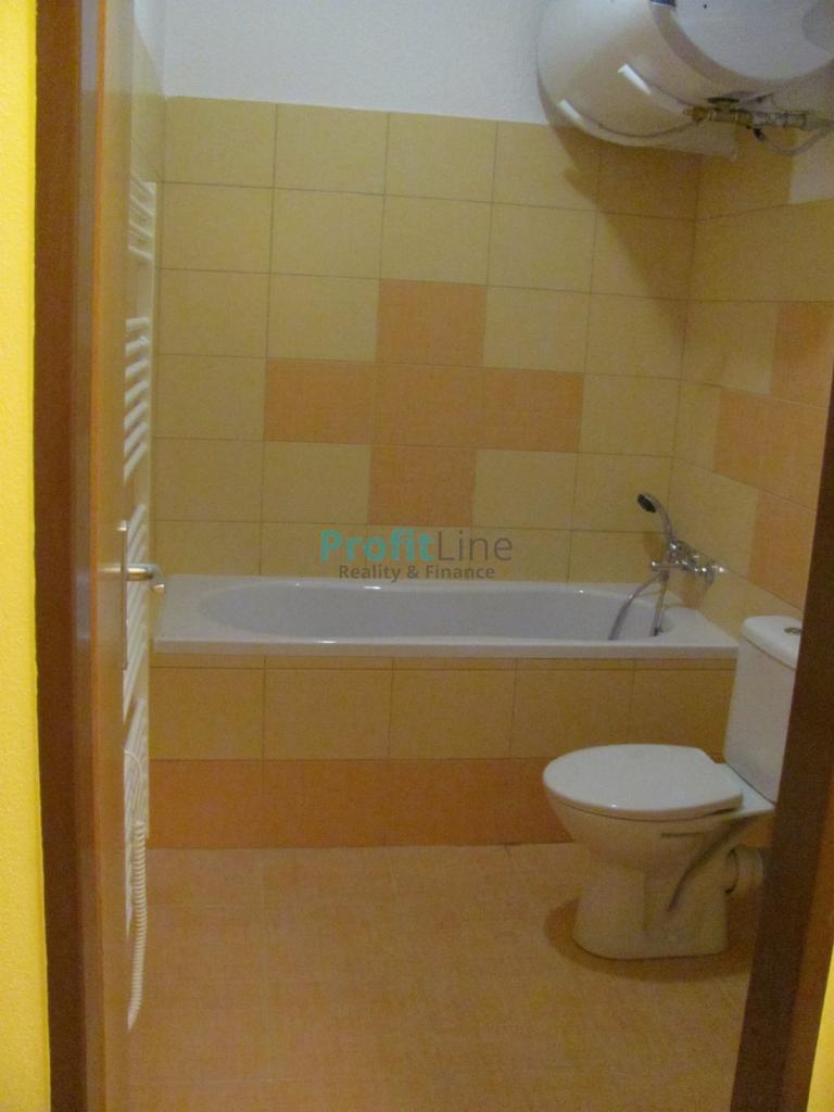 Pronájem bytu 1+kk 41 m2