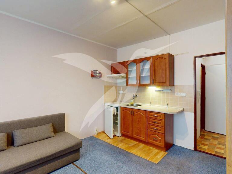 Pronájem bytu 1+kk 20 m2