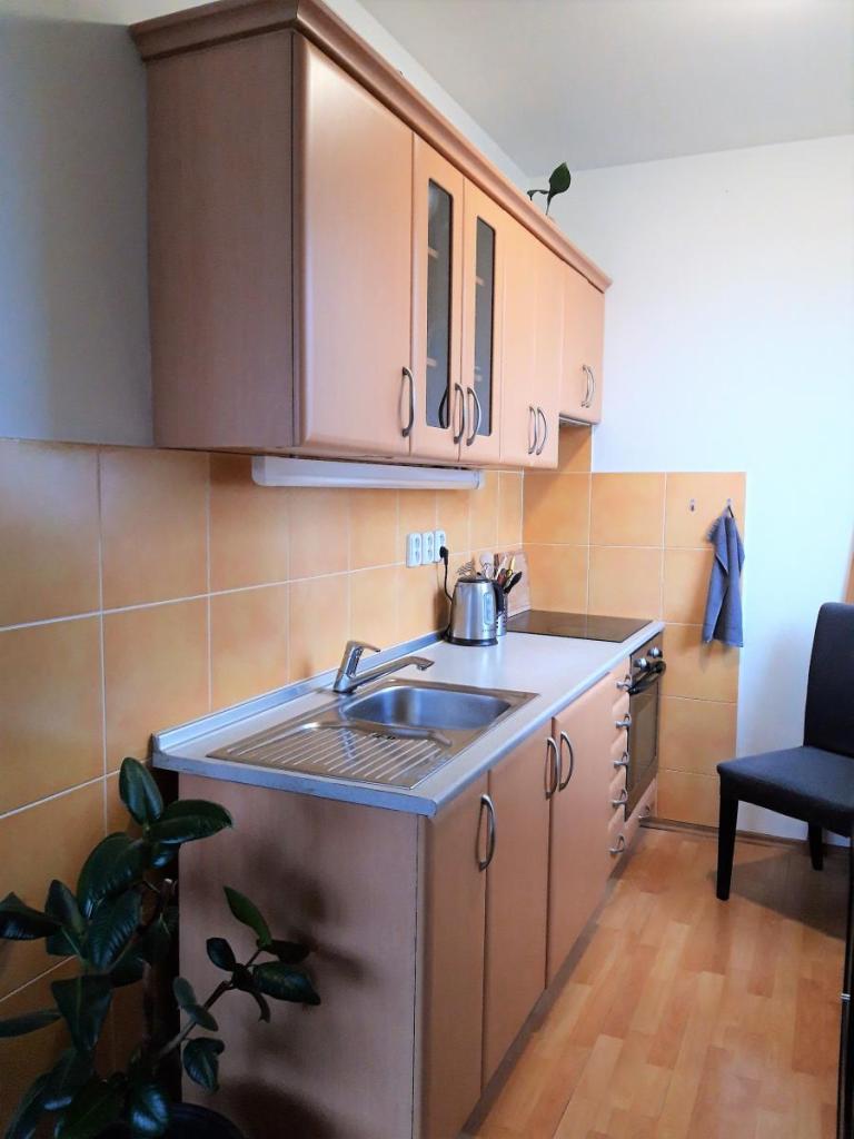 Pronájem bytu 1+kk 37 m2
