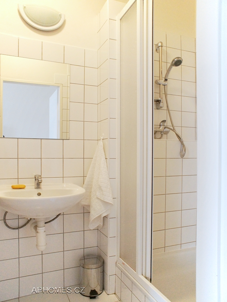 Pronajem bytu 1+kk 32 m2