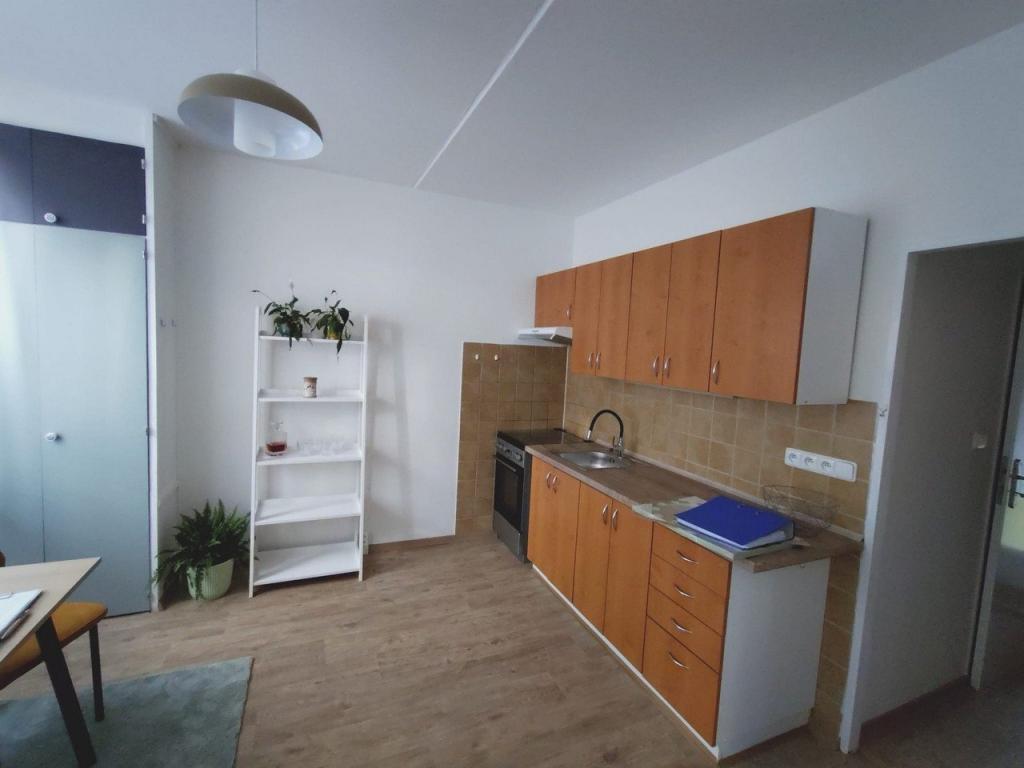 Pronájem bytu 1+1 35 m2