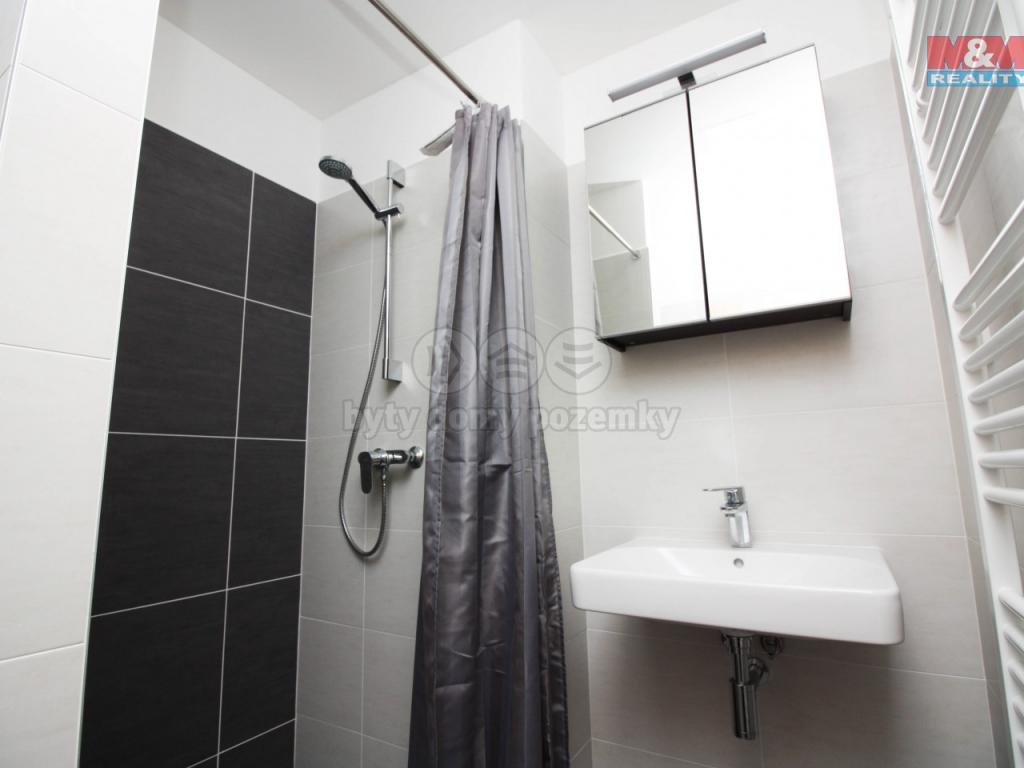 Pronajem bytu 2+kk 42 m2