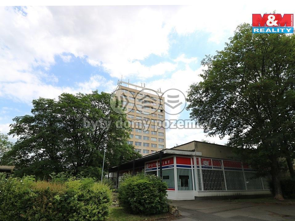 Pronajem bytu 1+kk 21 m2