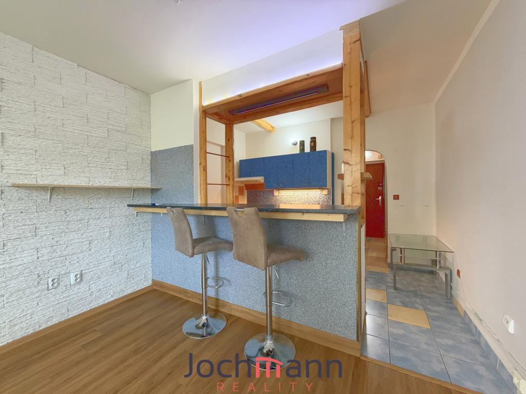 1+kk Apartment in Týn nad Vltavou - View 3