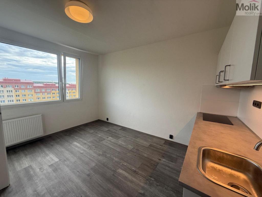 Pronájem bytu 1+1 35 m2