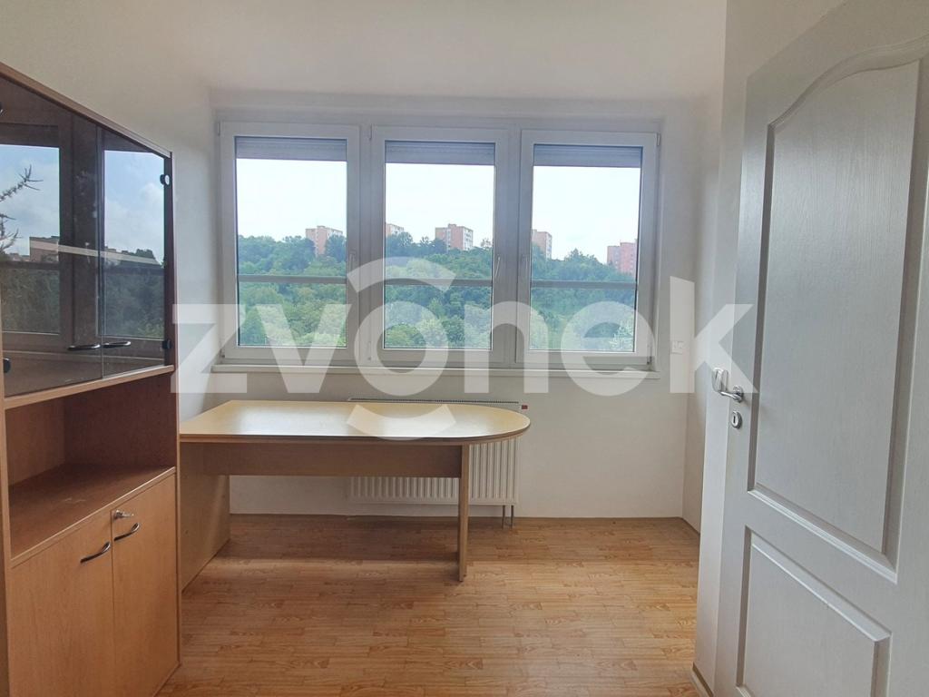 Pronájem bytu 1+kk 25 m2