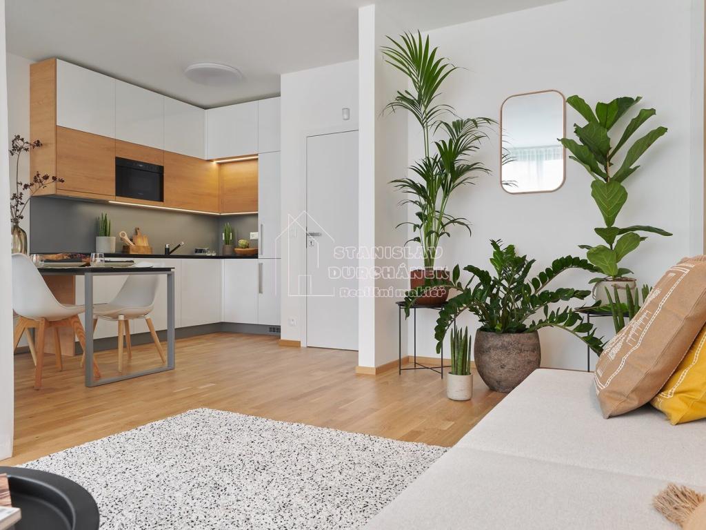 Pronájem bytu 1+kk 43 m2