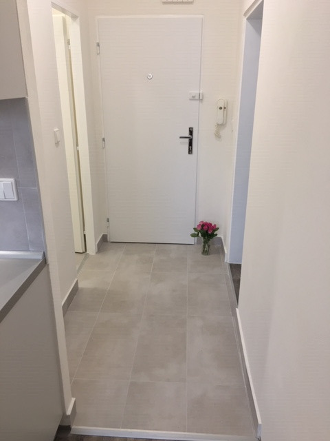 Pronájem bytu 1+1 36 m2